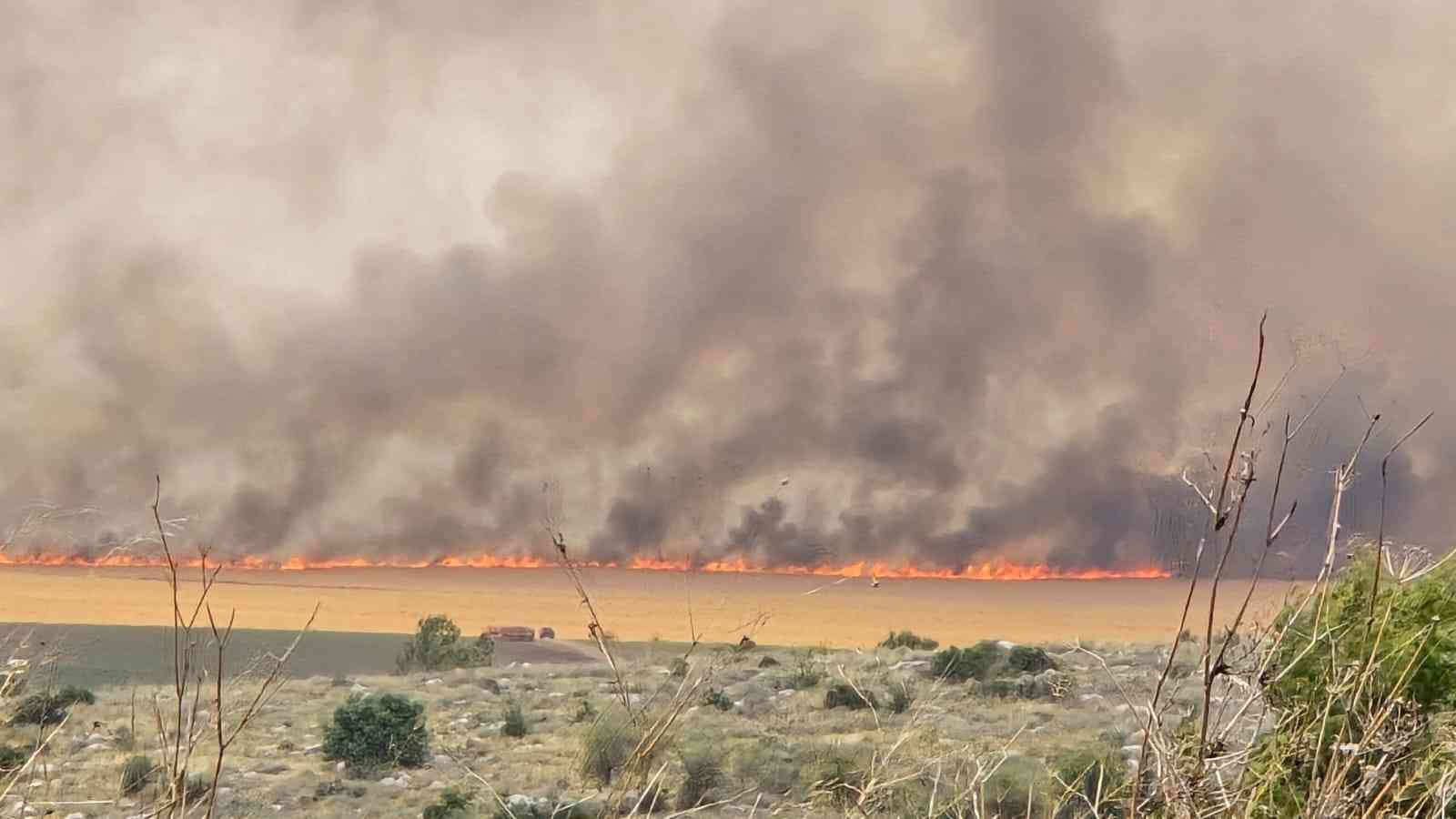 Scene of the fire on Road 1 background