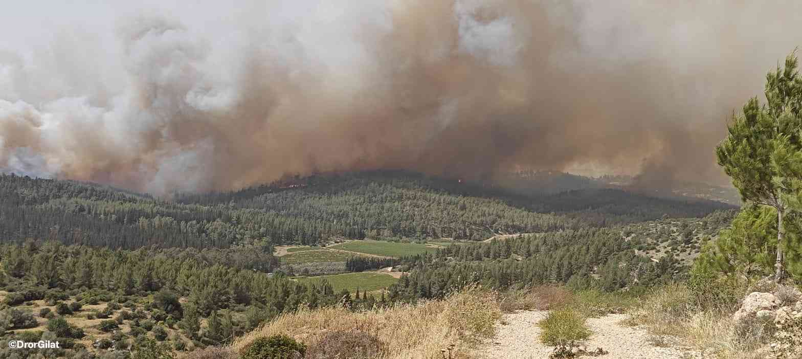 Scene of the fire on Road 1 background