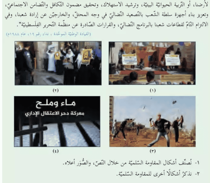 Rock throwing as an example of peaceful resistance background