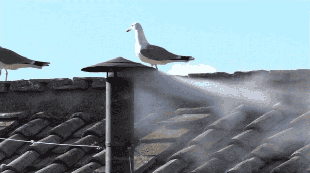 White smoke, telling of a new Pope. background