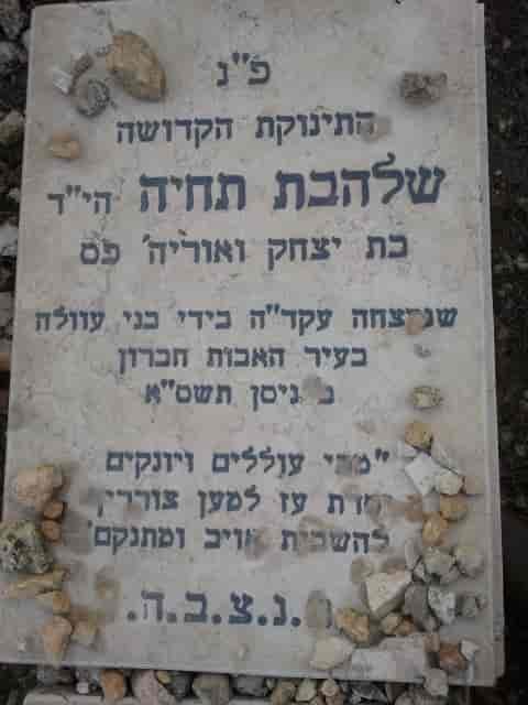 10-month-old Shalhevet Pass grave background