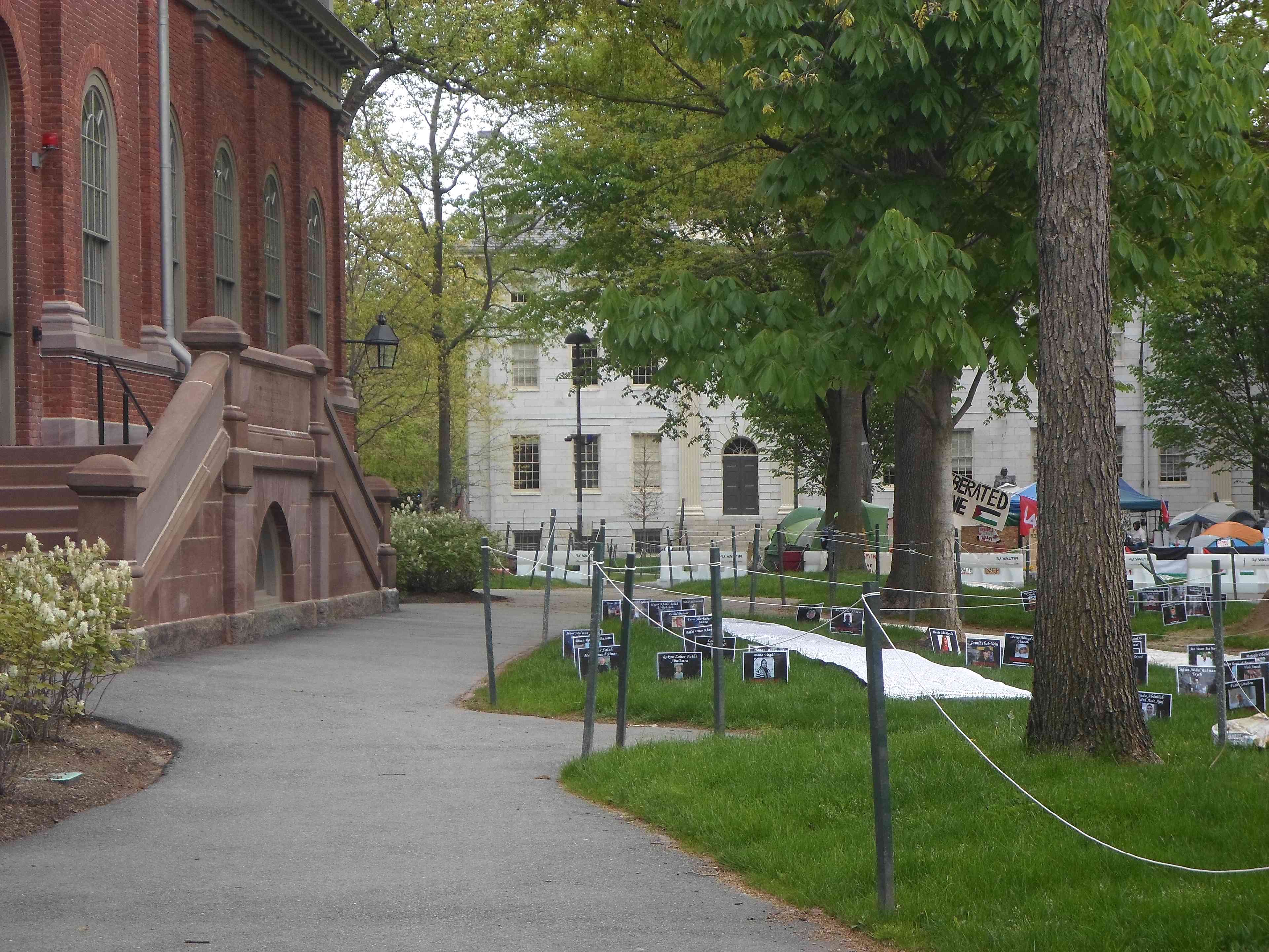 Harvard University background