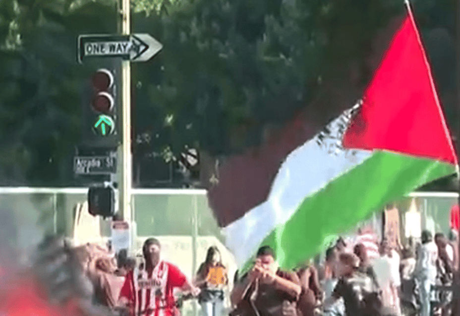 Palestinian Flag seen during LA riots, 9 June 2025 background
