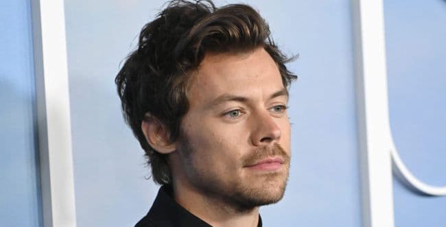 Harry Styles summarizes the concert tour: "An insane experience"