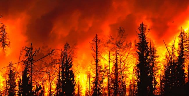 Fire in Hawaii