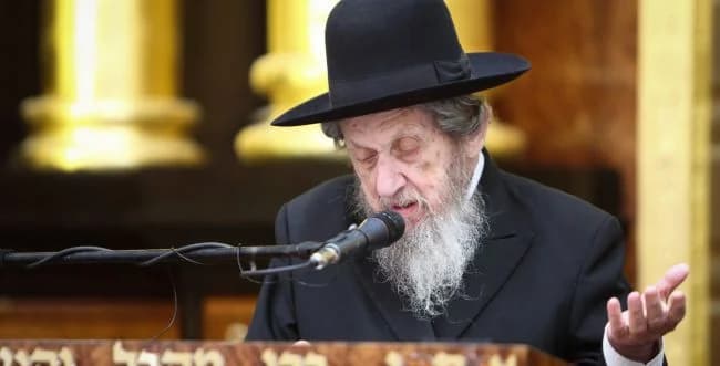 Rabbi Dov Lando