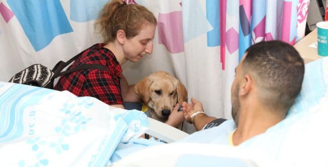 Four-legged friends.