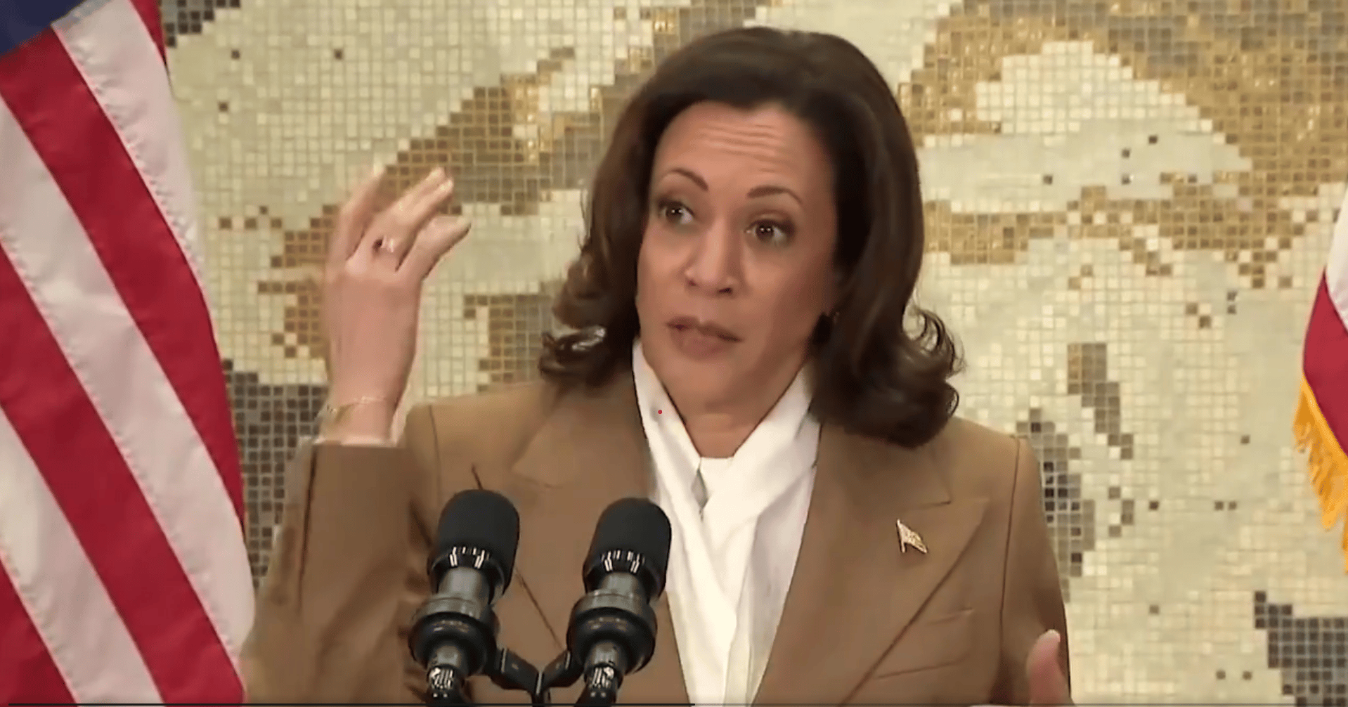 Kamala Harris, Screenshot from the video.