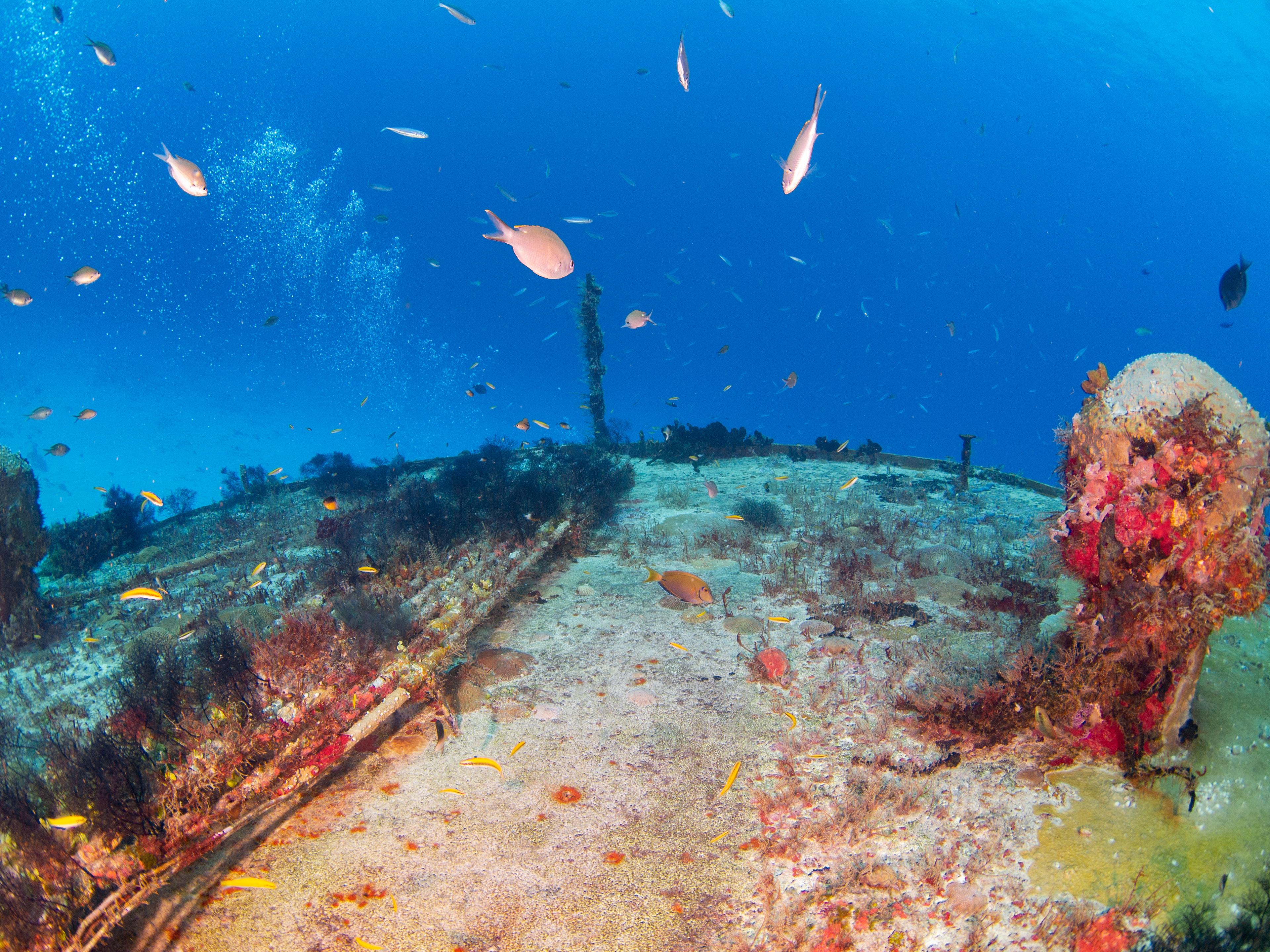 Underwater cables, a vital communications lifeline for the world. Underwater cables, a vital communications lifeline for the world.