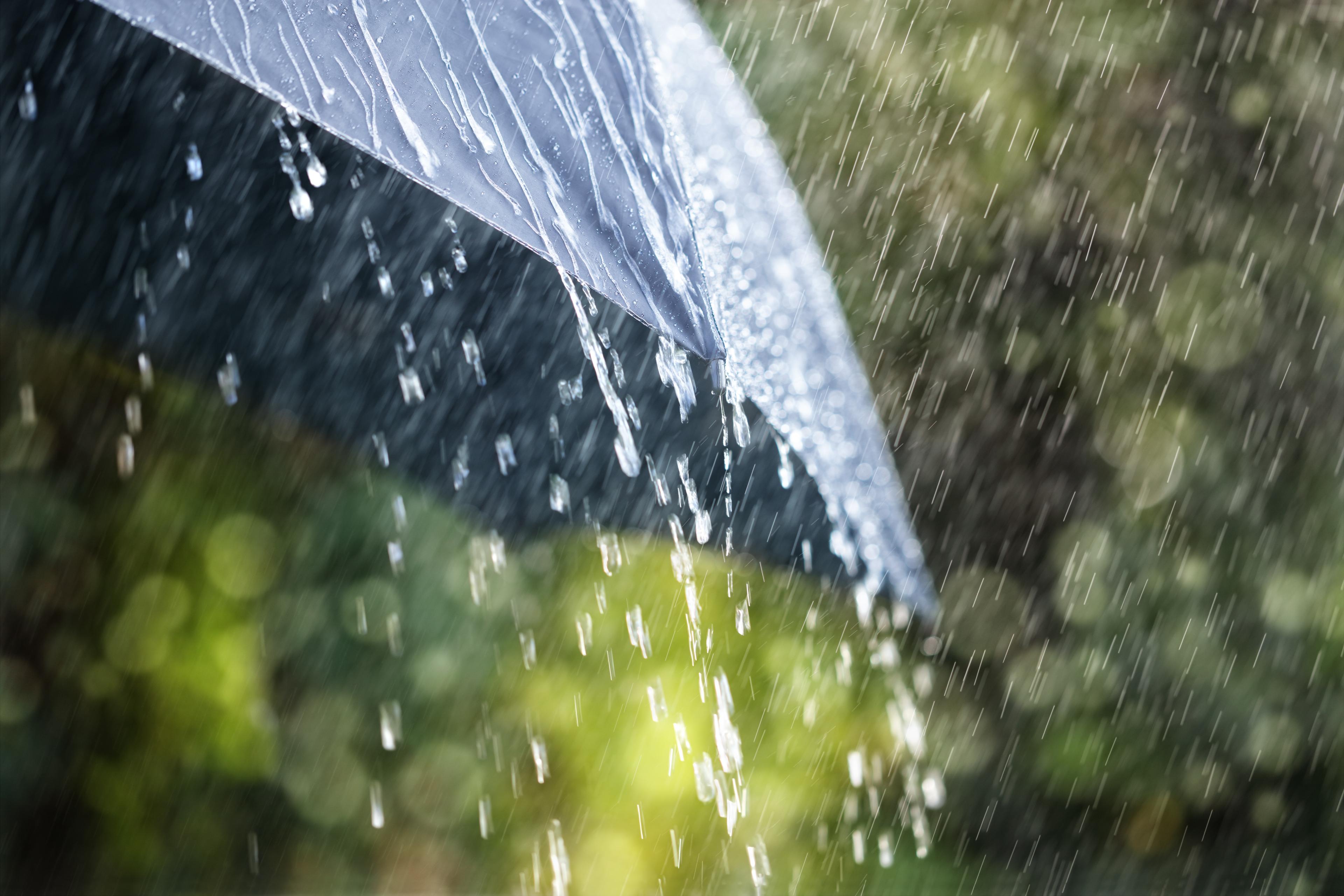 Rain. Illustration.