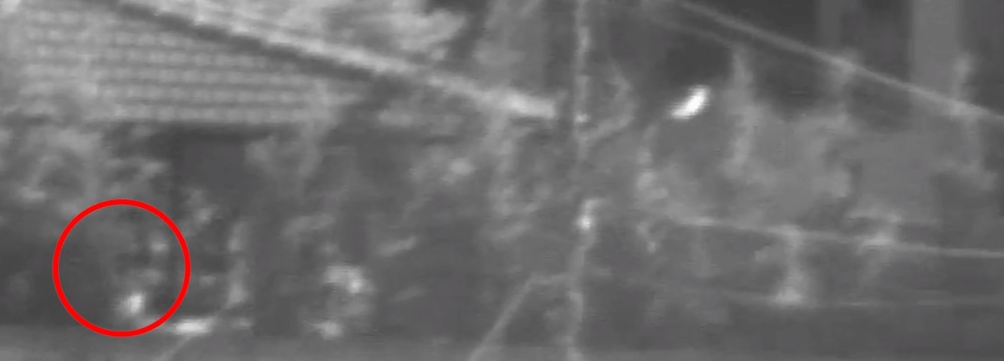 Spotting the terrorist before the strike.