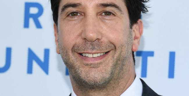 David Schwimmer