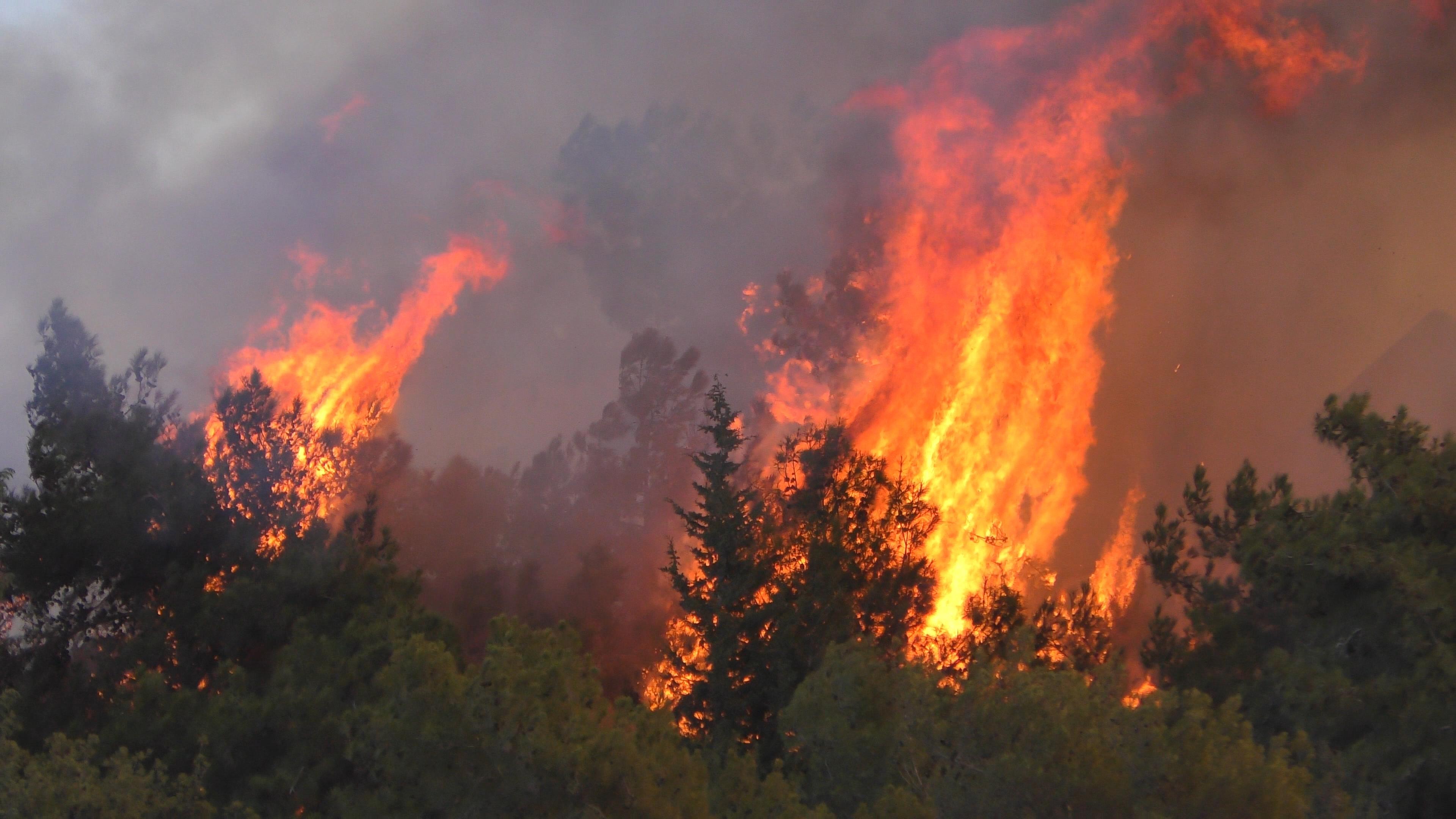 Fires blazing in North Israel Fires blazing in North Israel