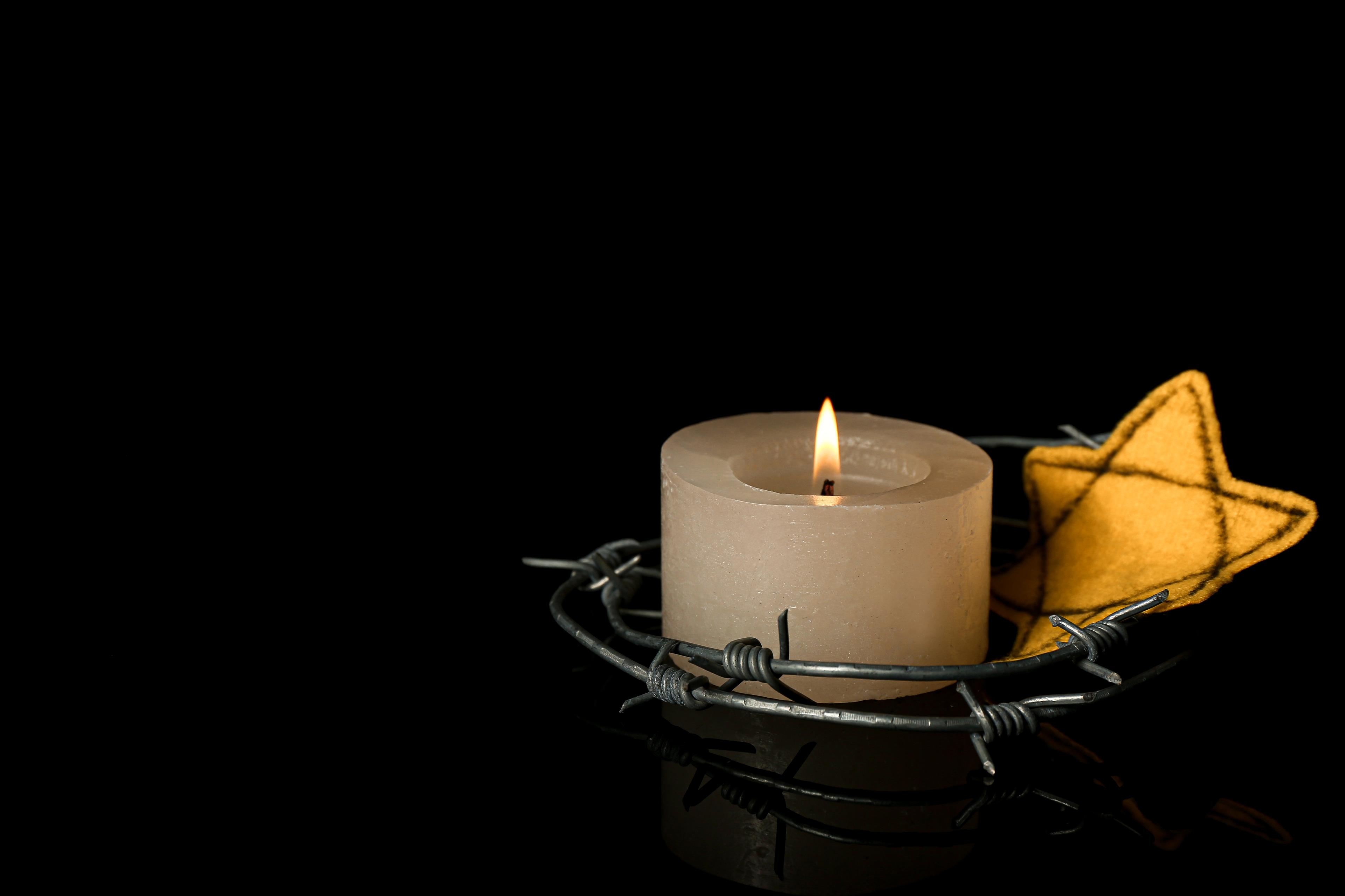 Photo: Pixel-Shot/ Shutterstock Photo: Pixel-Shot/ Shutterstock