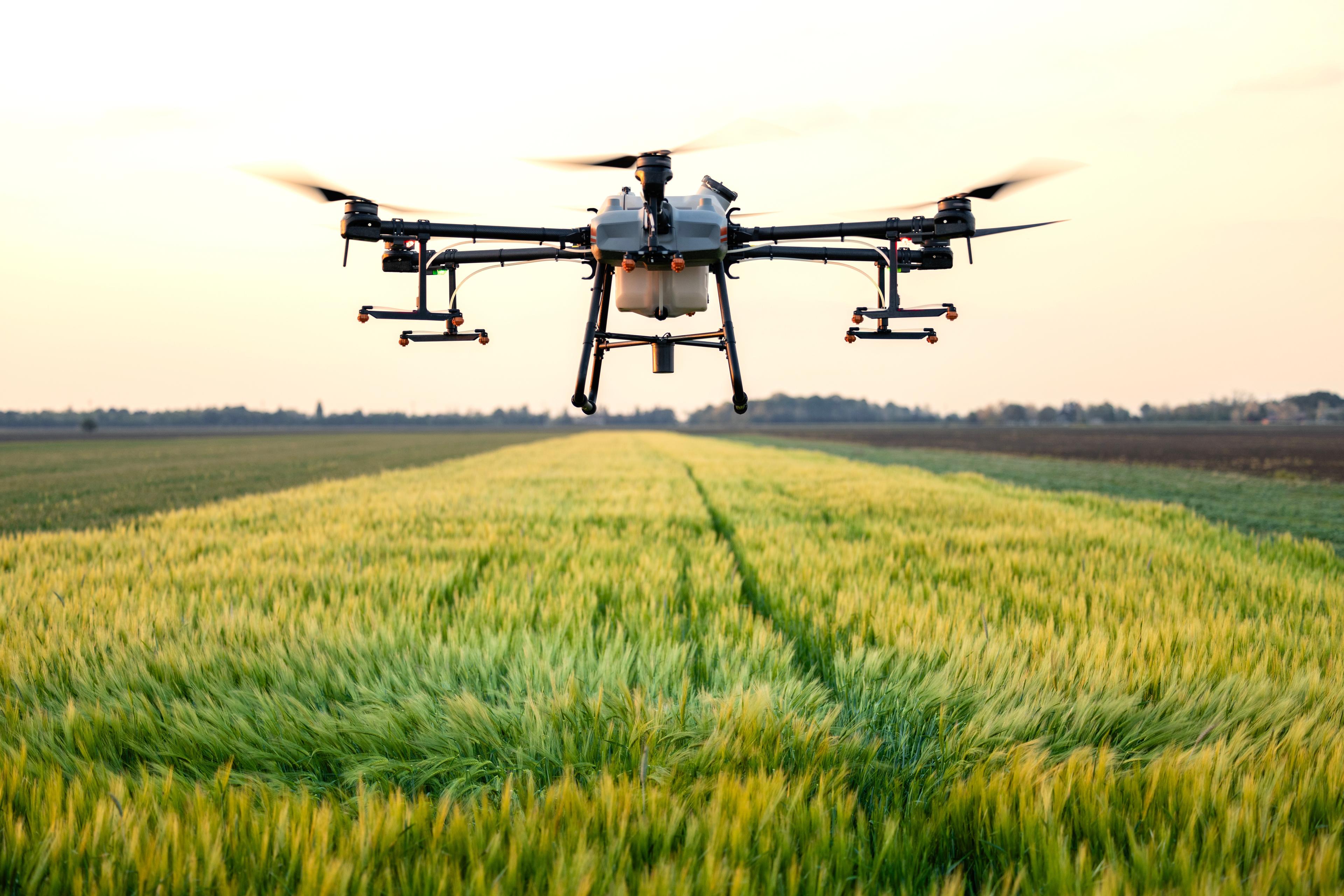 Drone Drone