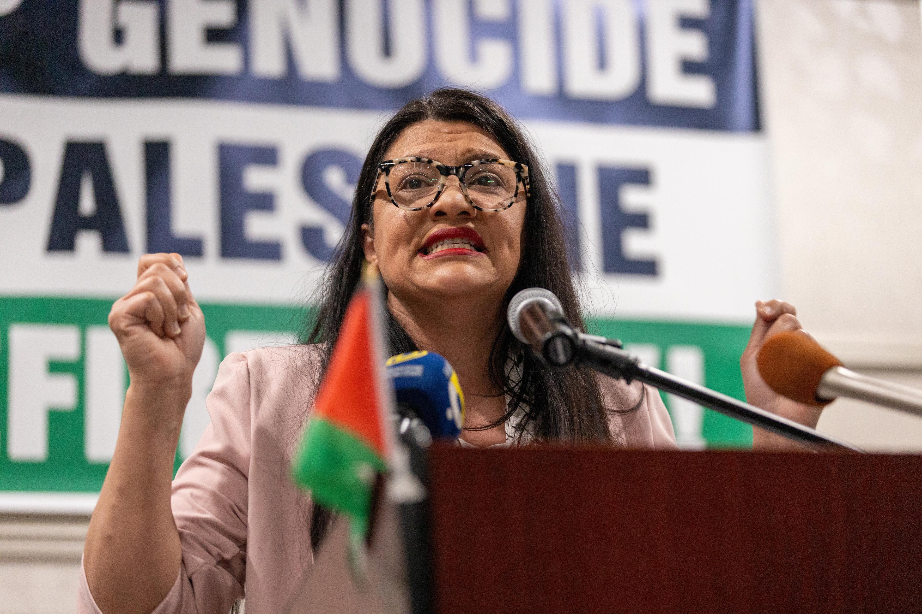 Rep. Rashida Tlaib 