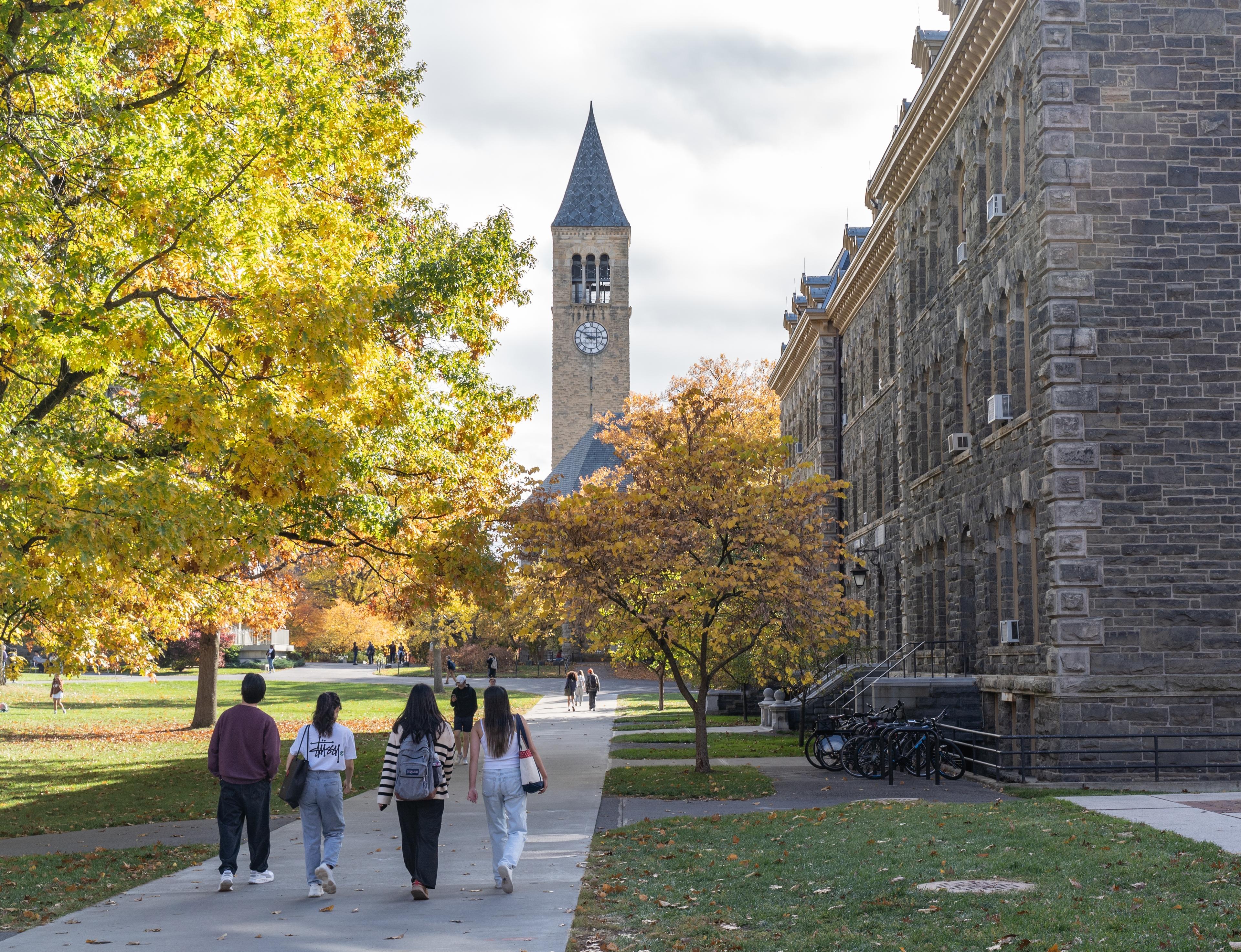 Cornell University Cornell University