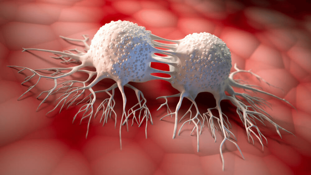 Cancer cells