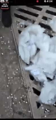 Captagon seized from the Assad regime and destroyed
