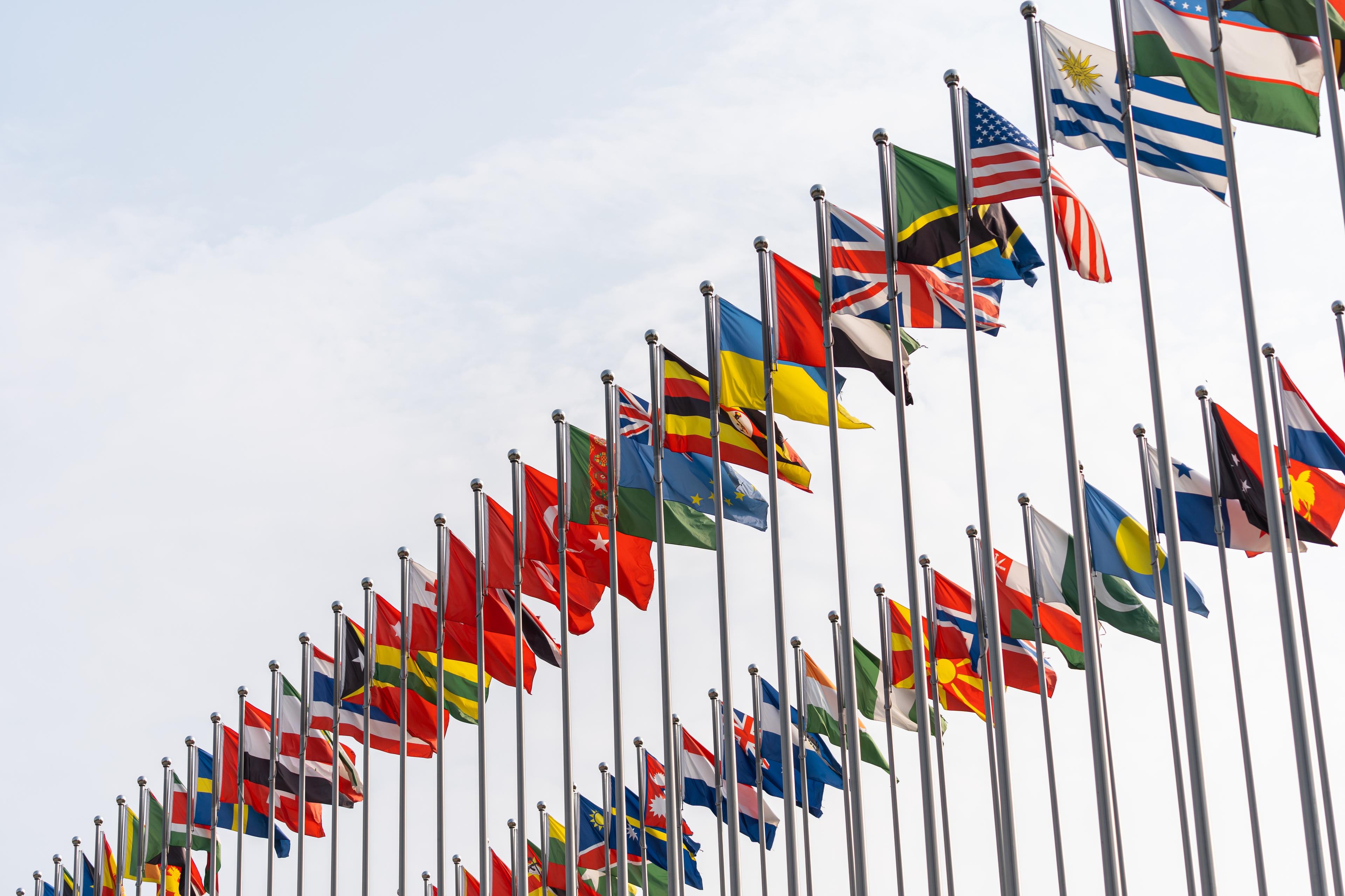Flags Flags