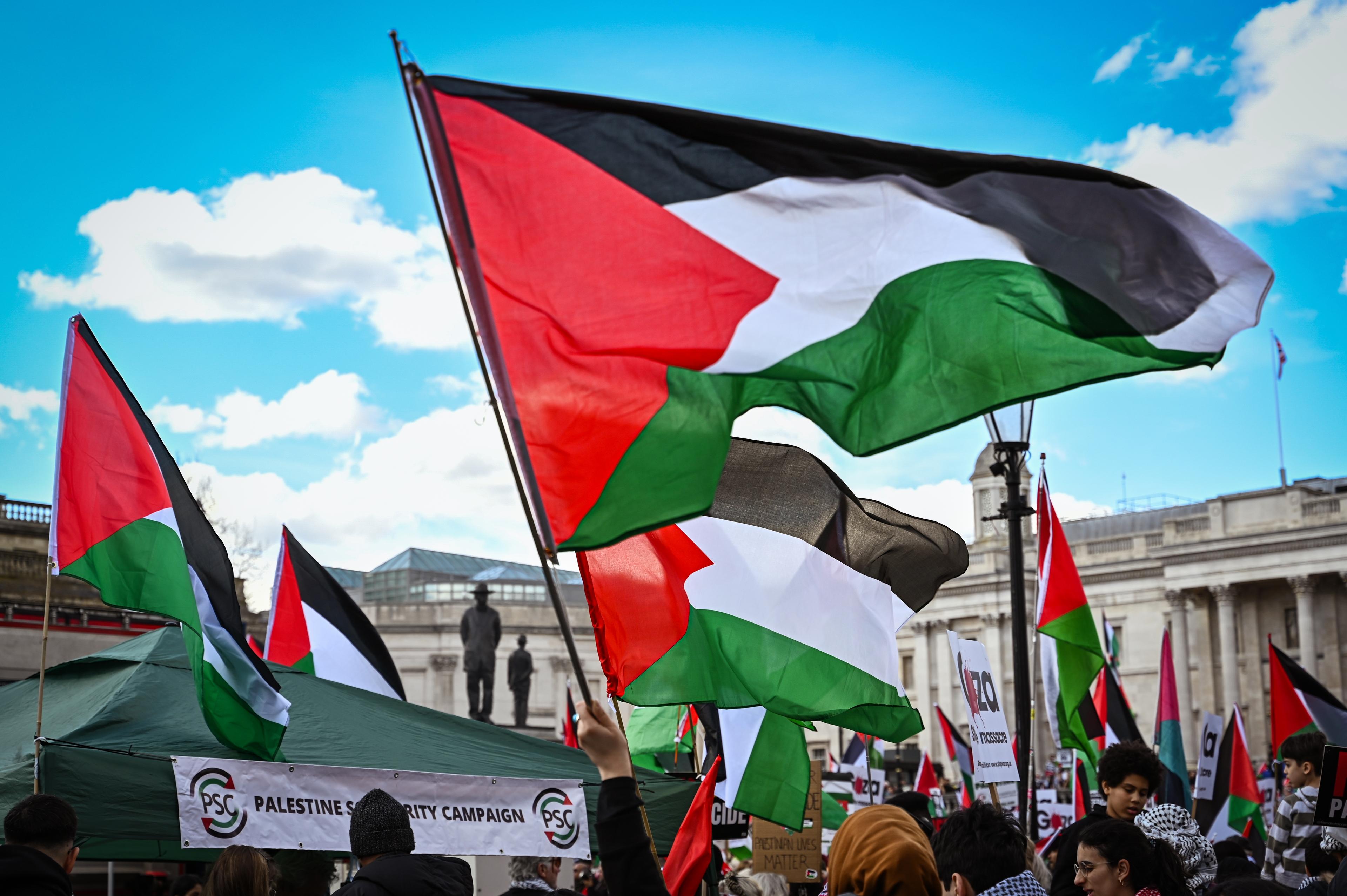 Pro-Palestine demonstrators