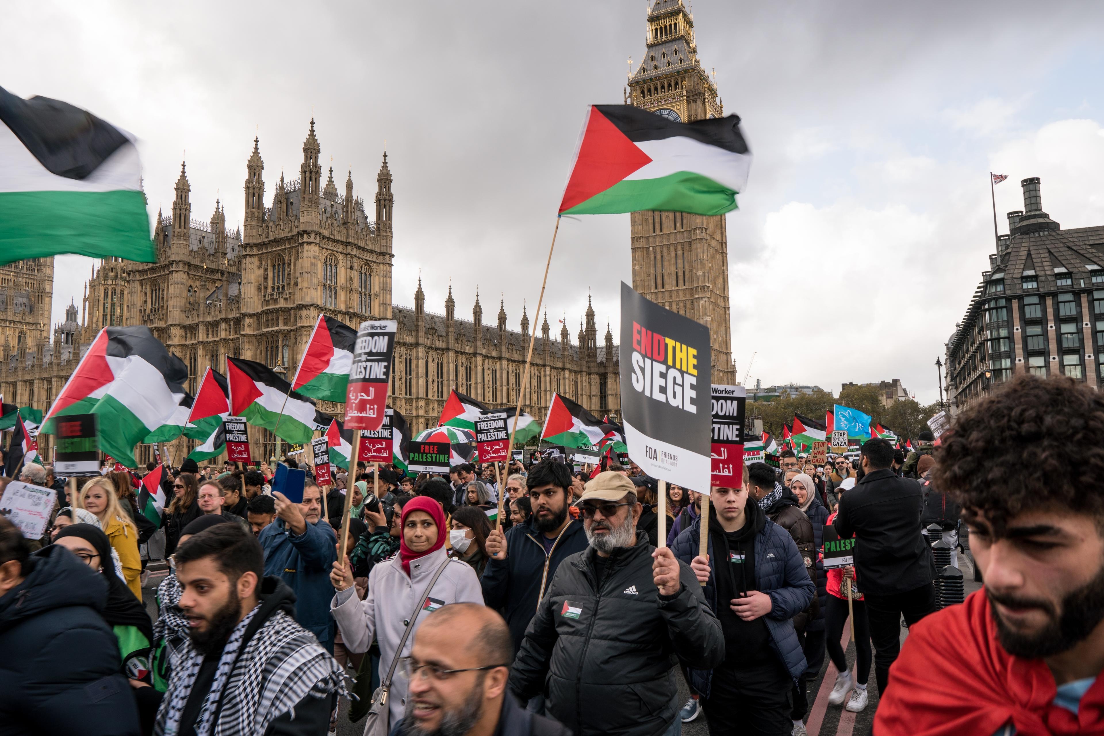 Pro-Palestine demonstrators in London