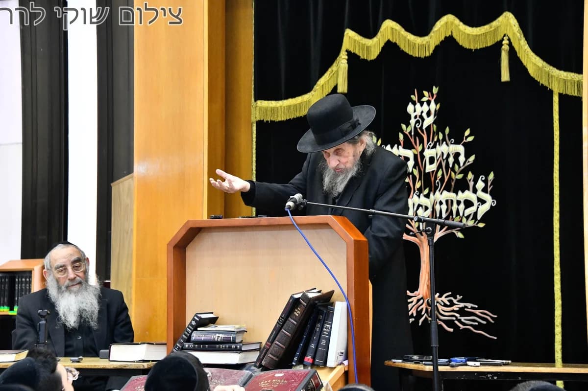 Rabbi Dov Lando