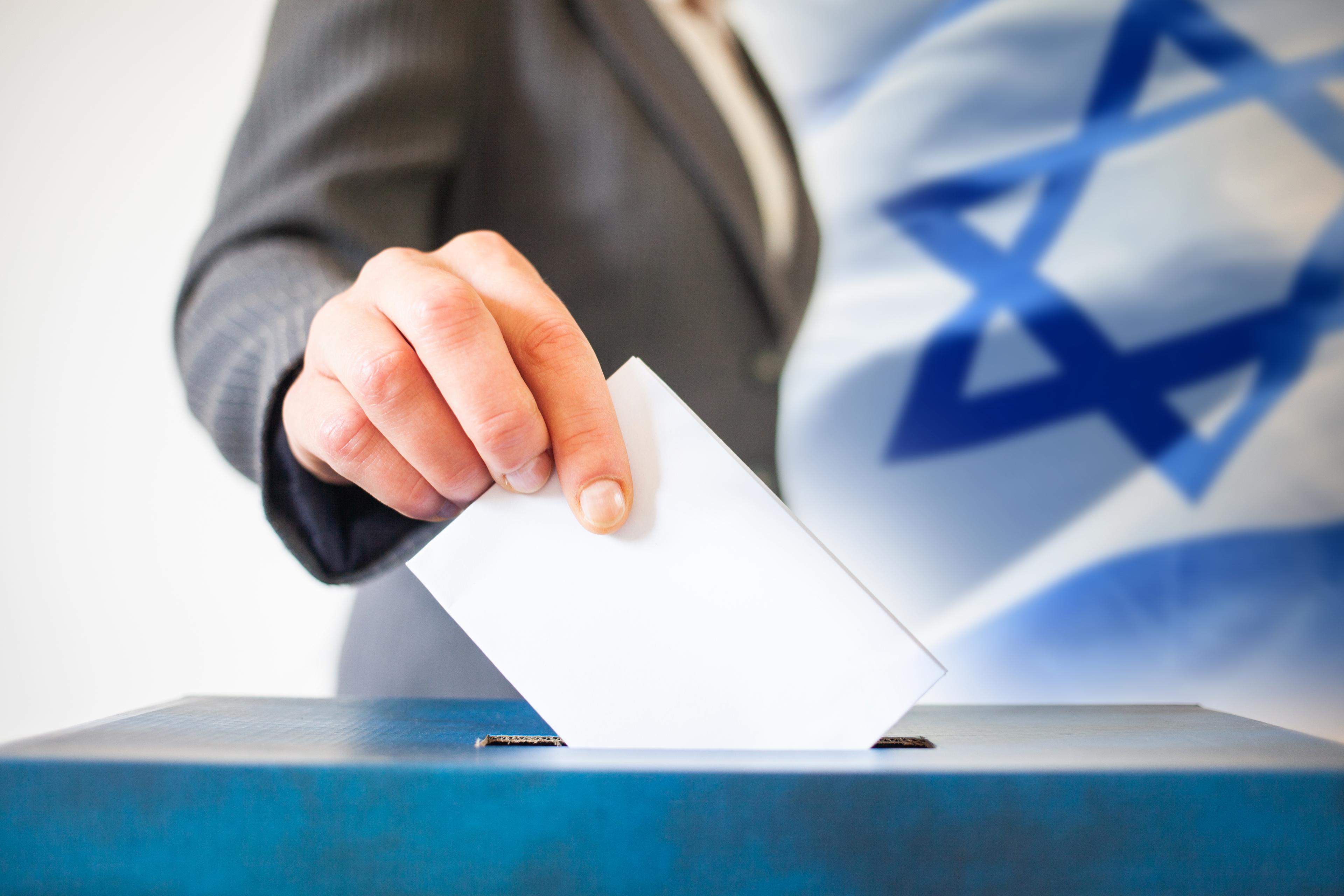 Voting in the WZC elections