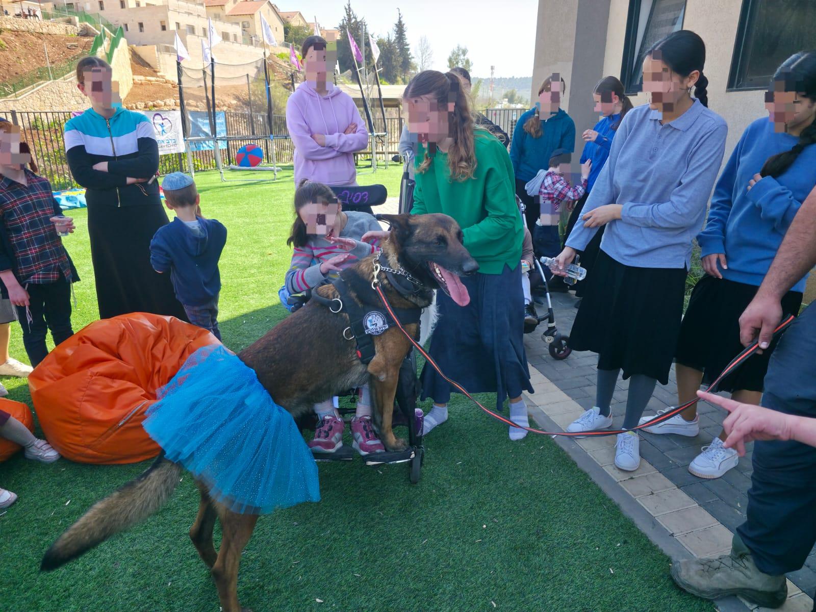 Children and dogs, rejoicing together on Purim.