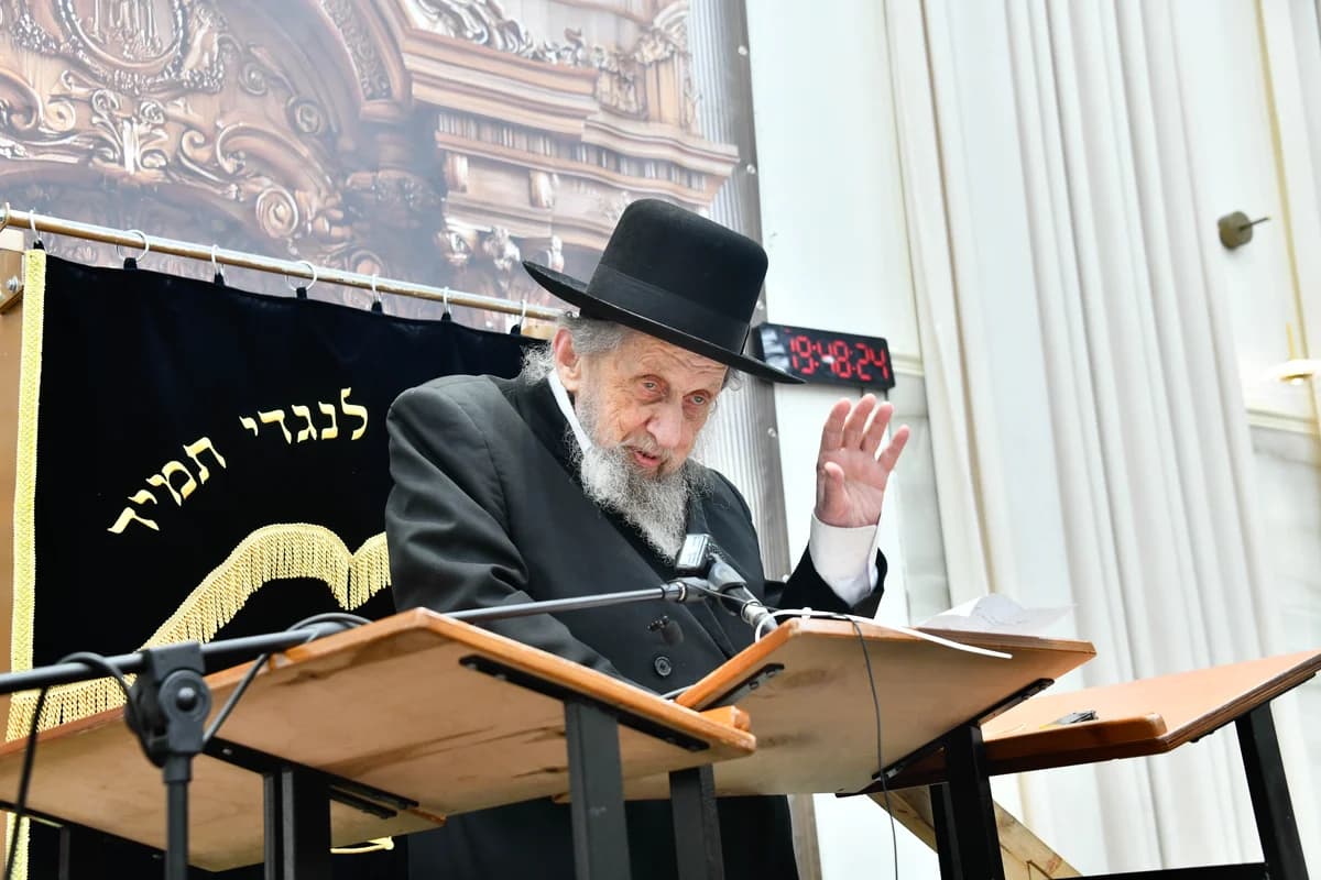 Rabbi Dov Lando