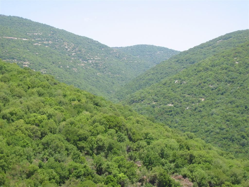 Mt Meron