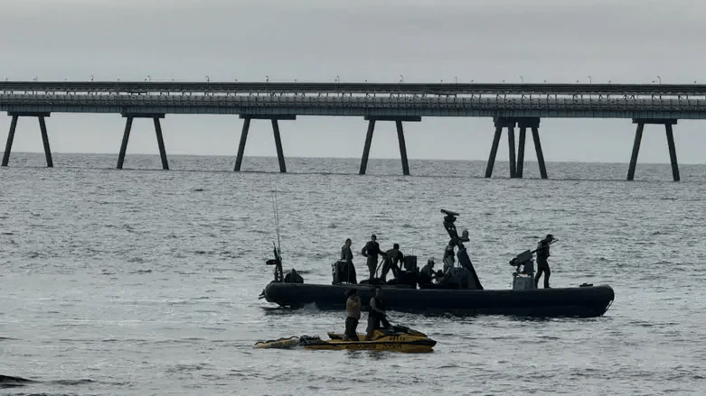 Search for the shark victim