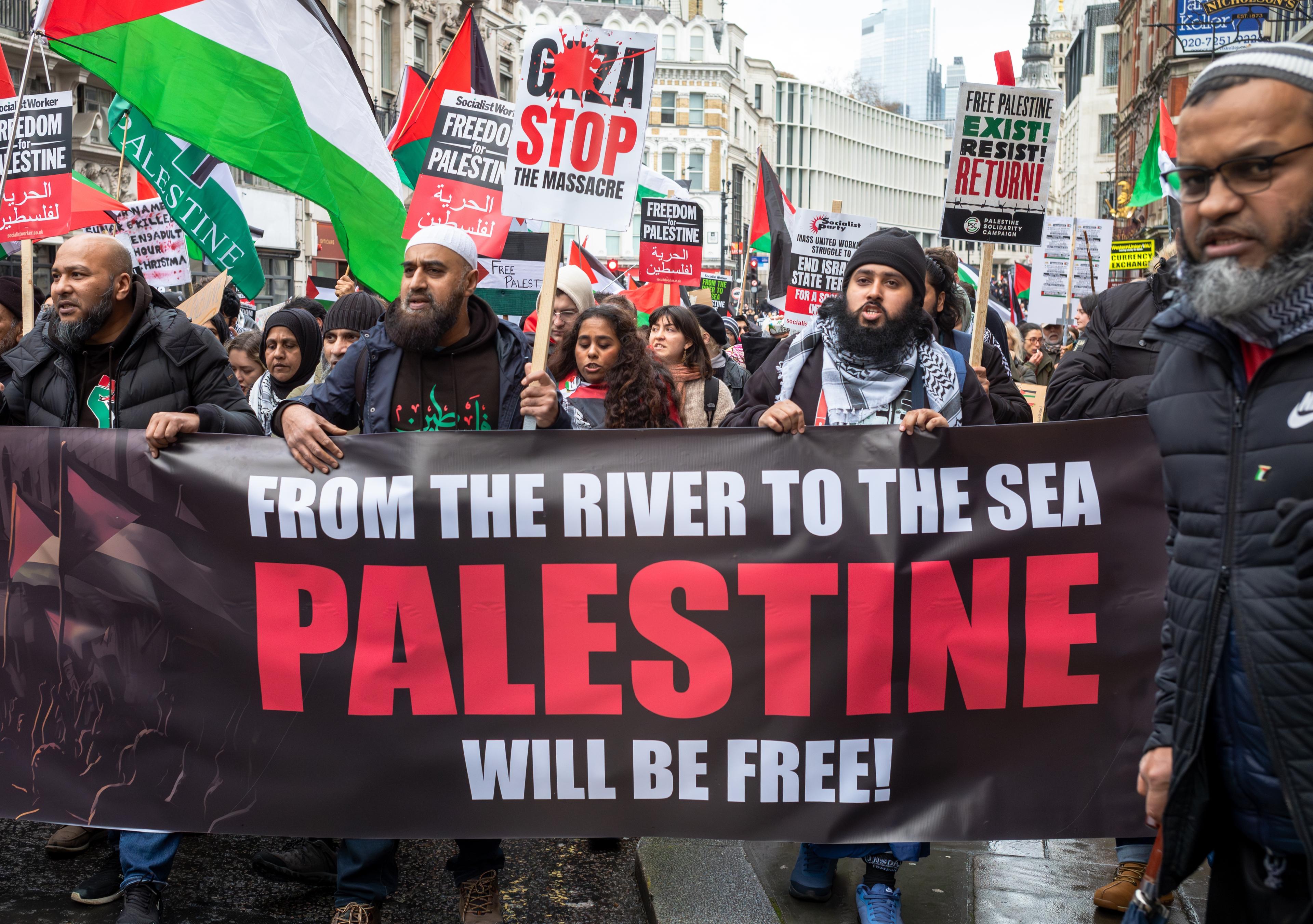 Pro-Palestine protest. Illustration.