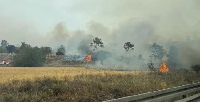 WATCH: Massive wildfires wreak havoc near Jerusalem, communities evacuated, Route 1 to be closed