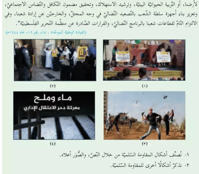 Rock throwing as an example of peaceful resistance Rock throwing as an example of peaceful resistance