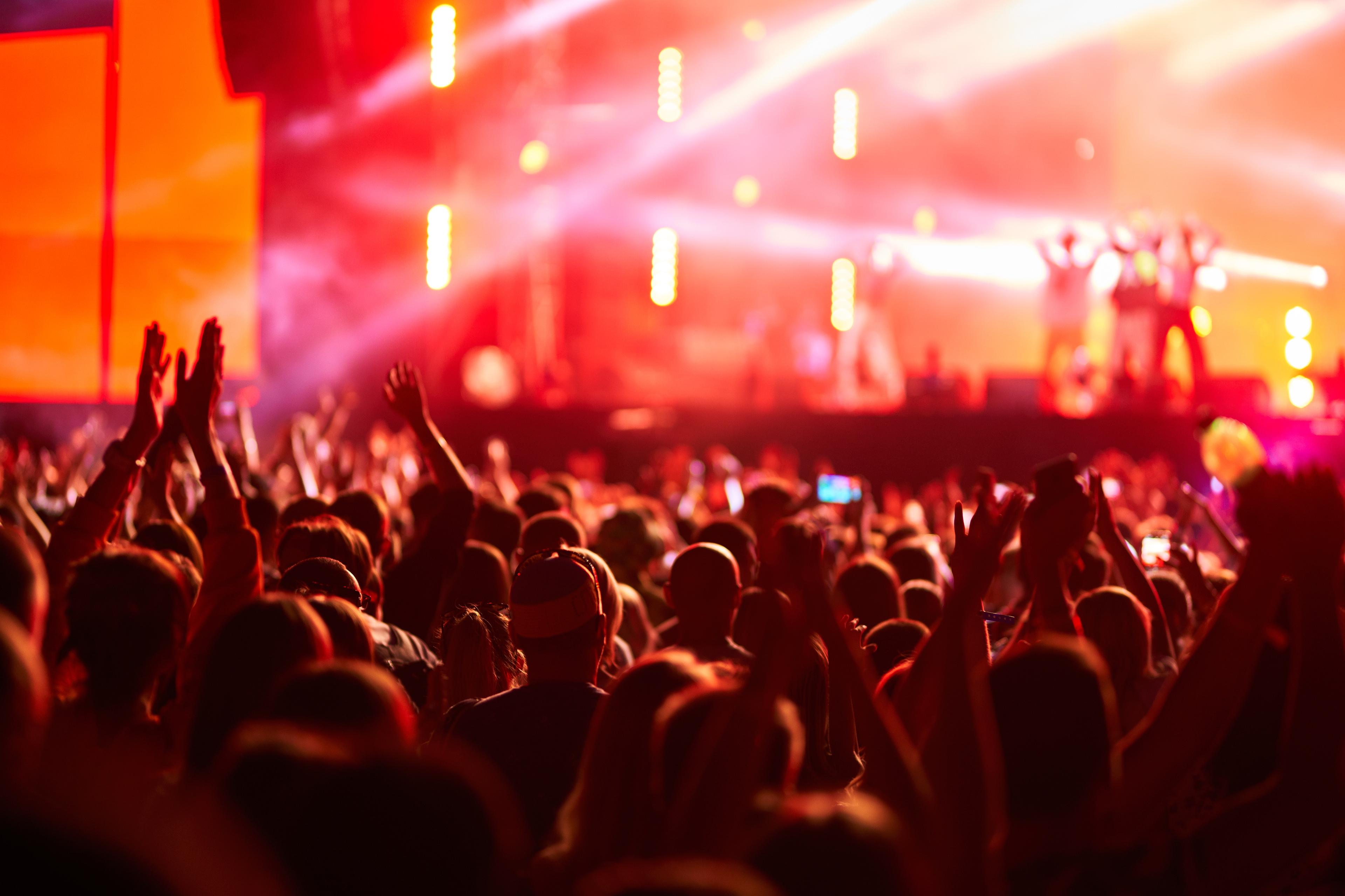 Energetic audience at outdoor live concert at sunset