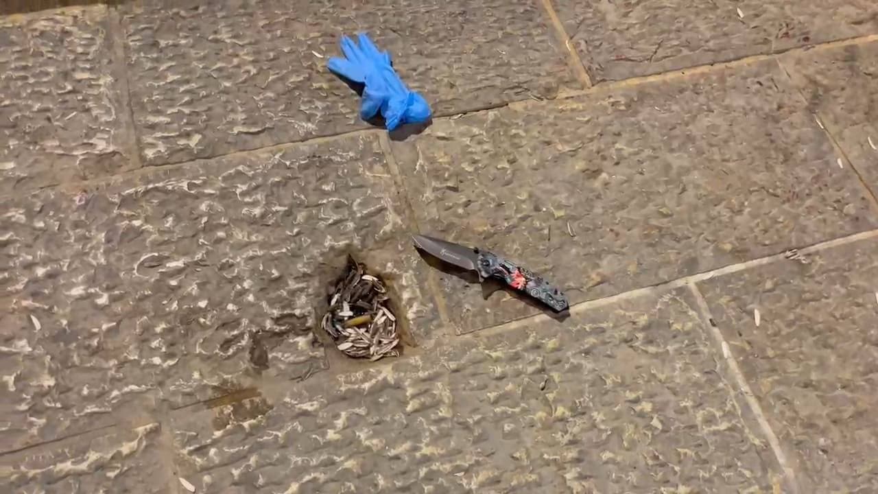 Knife used in stabbing attack. Knife used in stabbing attack.