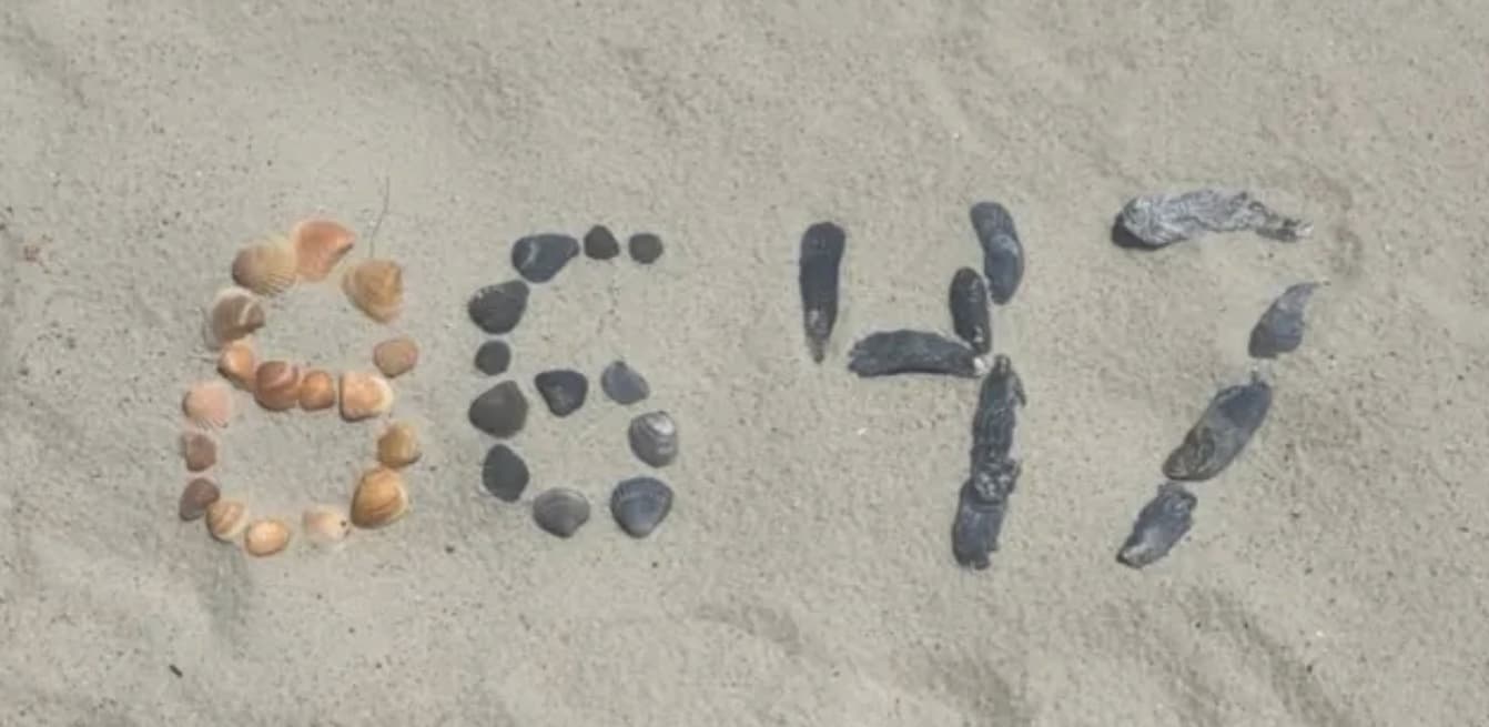 8647 sea shell formation, posted by Comey on X, 15 May 2025 8647 sea shell formation, posted by Comey on X, 15 May 2025
