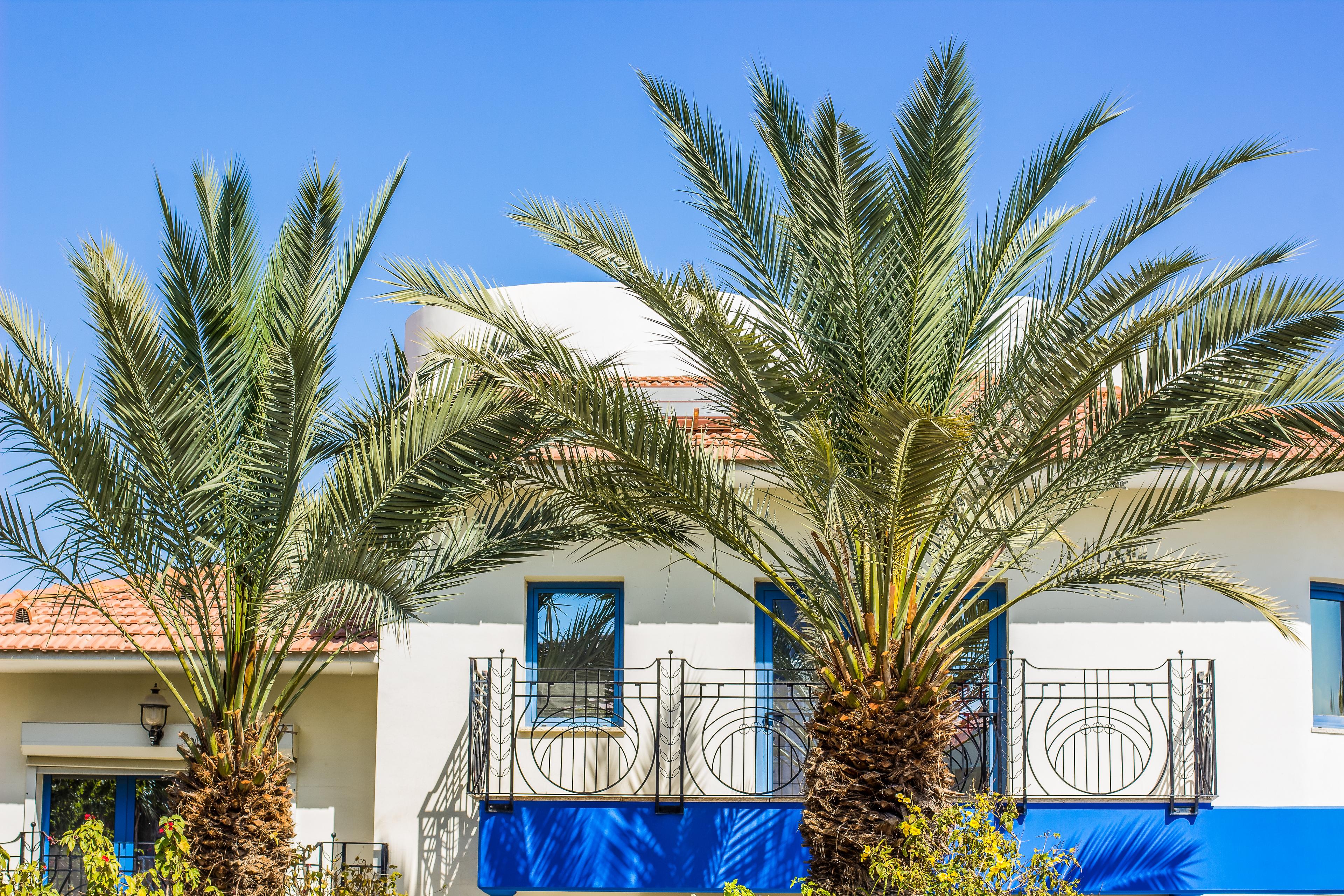 Airbnb in Israel