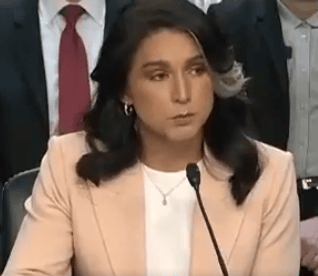Tulsi Gabbard.
