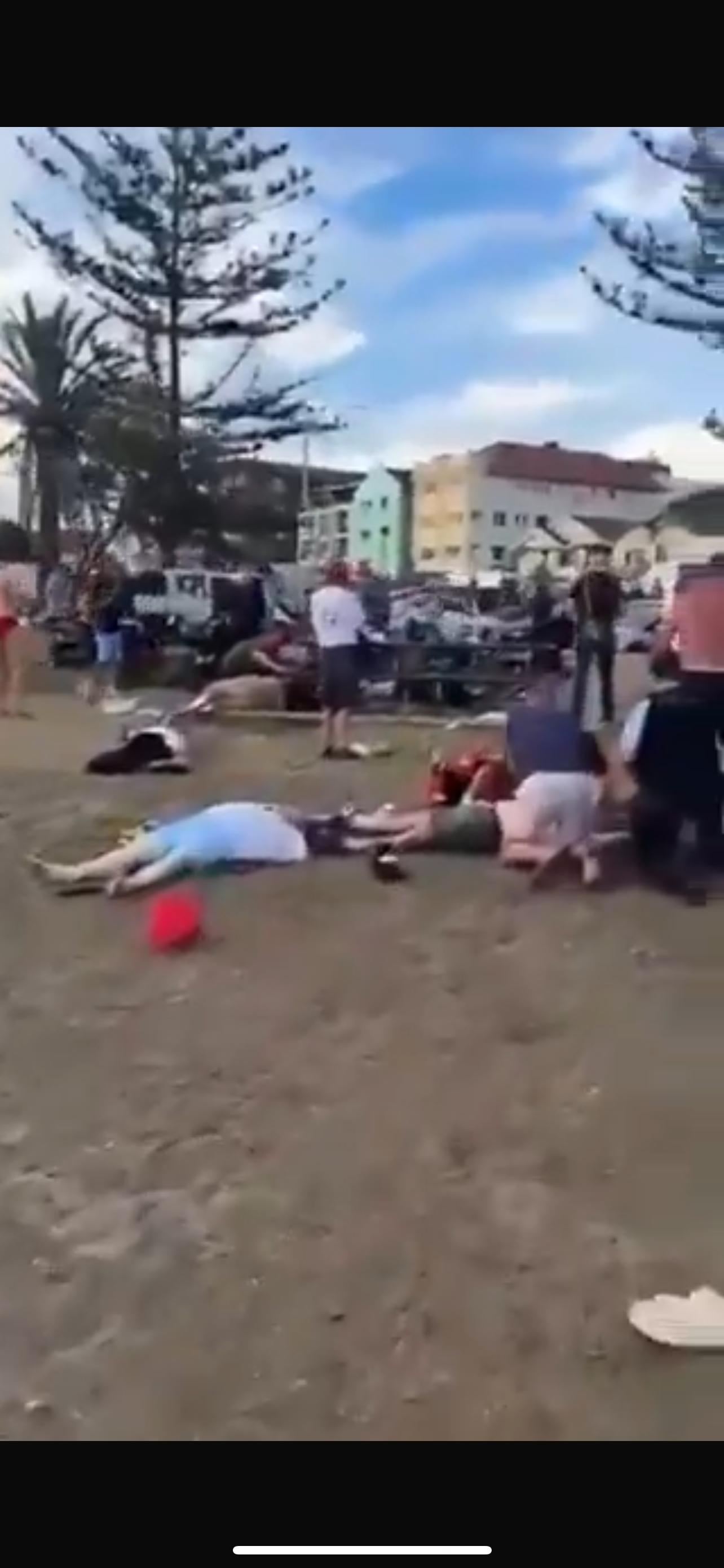 Graphic scenes from the Sydney terror attack