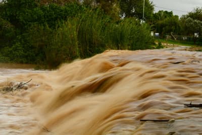 Photo by Tomer Neuberg/FLASH90